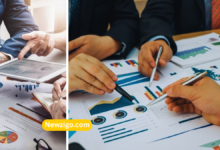 Zingyzon Digital Marketing