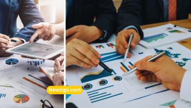 Zingyzon Digital Marketing