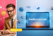 Latest FeedBuzzard Com