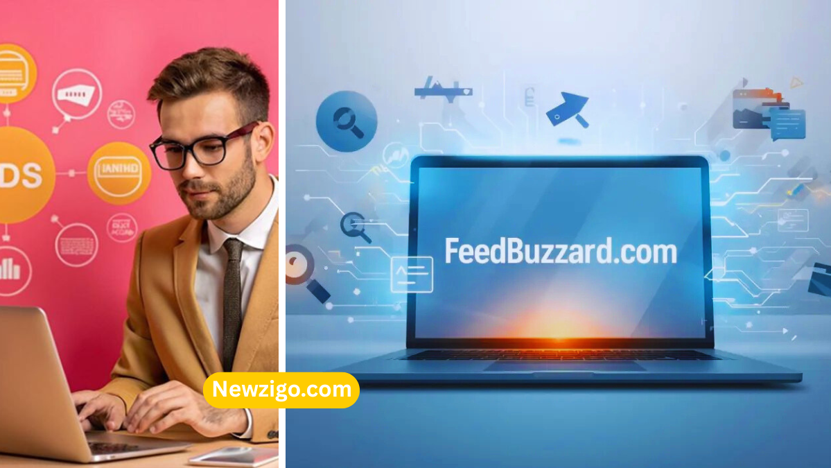 Latest FeedBuzzard Com